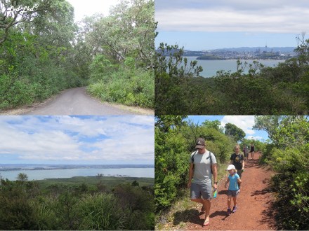 8 Rangitoto (2)