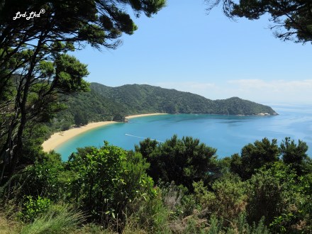 1 separation point vue (5)