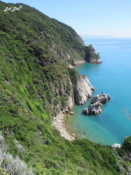 1 separation point vue (7)