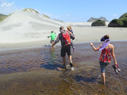 10 Wharariki rivière (1)