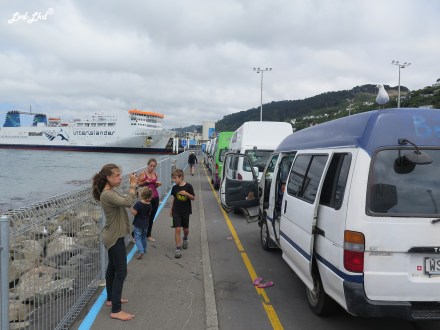 2 Interislander (1)