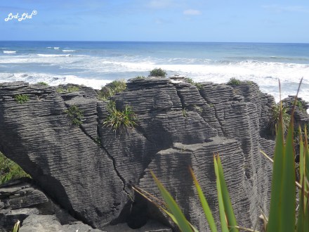 3 Punakaiki pancake rocks (3)