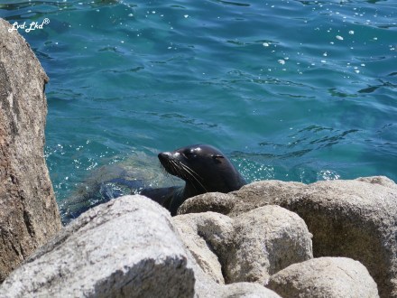 4 Separation point (4)