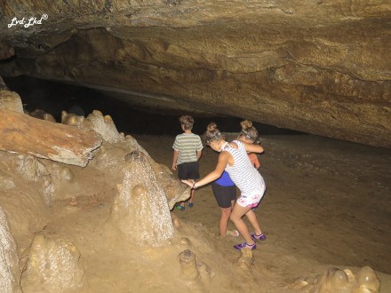 7 glow worm waipu cave (1)