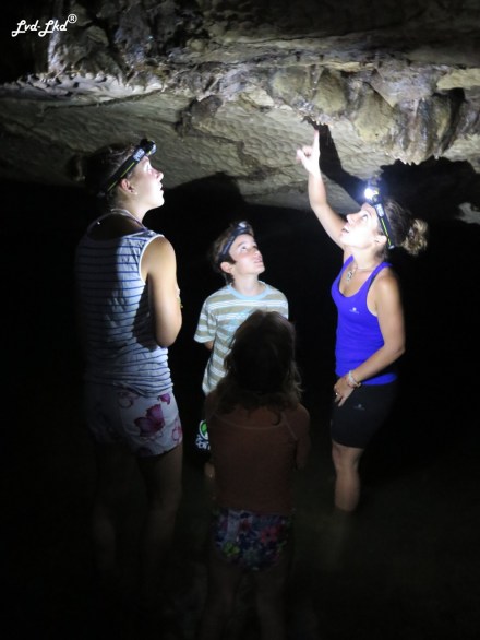 7 glow worm waipu cave (2)