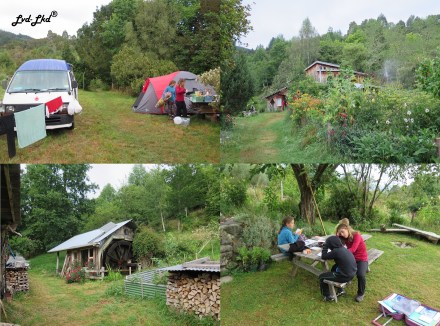 7 Shiloh et Lani (1)