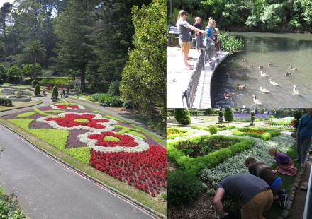 9 botanic garden wellington (1)