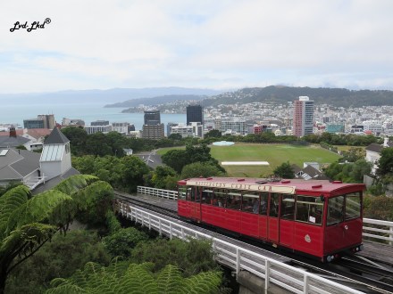 9 botanic garden wellington (6)