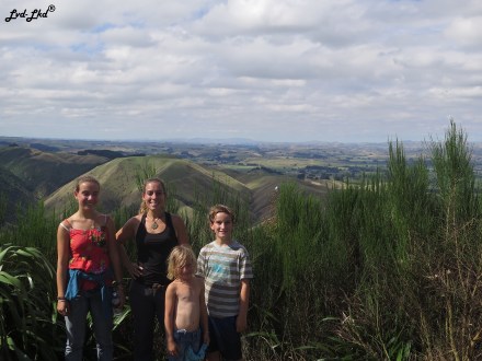 1 Manawatu gorge (4)