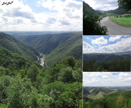 1 Manawatu gorge (5)