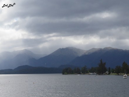 1 sanctuary bird (3)