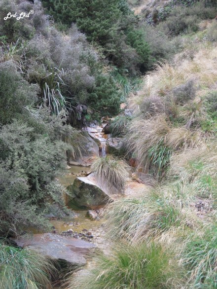 11 Tongariro Alpine crossing 4 (1)