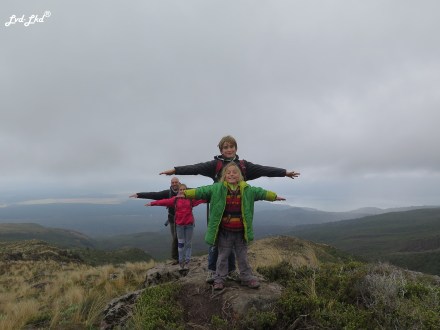 11 Tongariro Alpine crossing 4 (3)