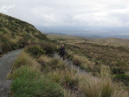 11 Tongariro Alpine crossing 4 (6)