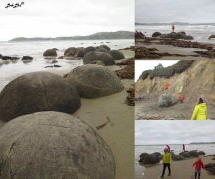 14 moreraki boulder (4)