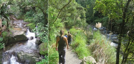 3 wentworth falls (2)