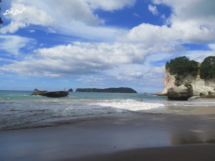4 cathedral cove (6)