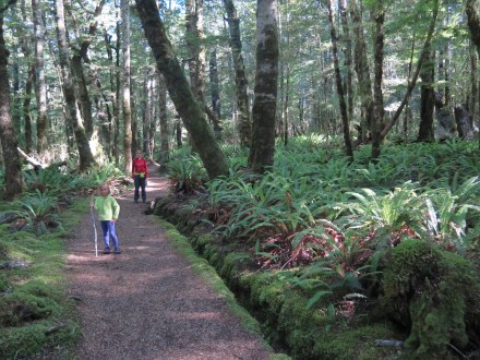 4 foret kepler track (3)