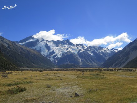 4 HOOKER TRACK MOUNT COOK (1)