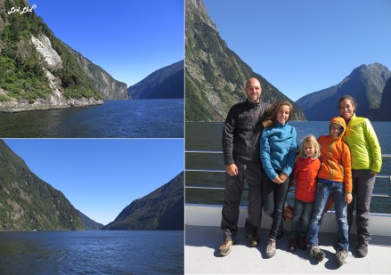 5 milford et otaries (1)