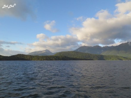 7 Manapouri lake (2)