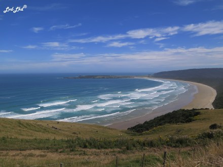 8 purakaunui beach (1)