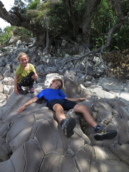 2 mangawai cliff walk (13)