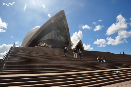 3 opera house (2)