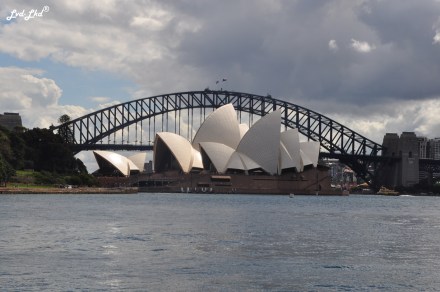 3 opera house (4)
