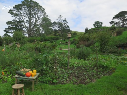 4 entrée hobbiton (4)