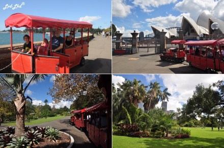 4 royal botanic garden (1)