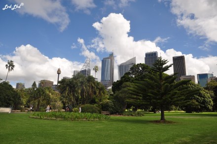 4 royal botanic garden (6)