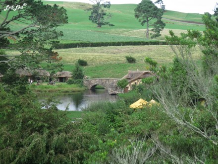 5 hobbiton 1 (10)