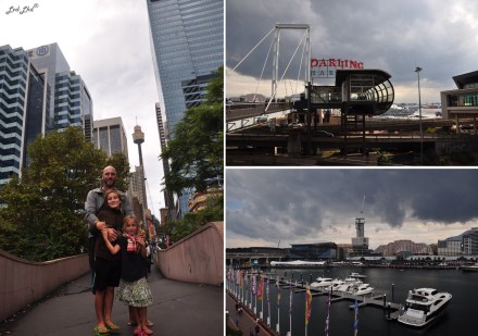 6 Aquarium Sydney (1)