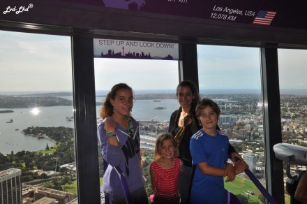 6 sydney tower (1)
