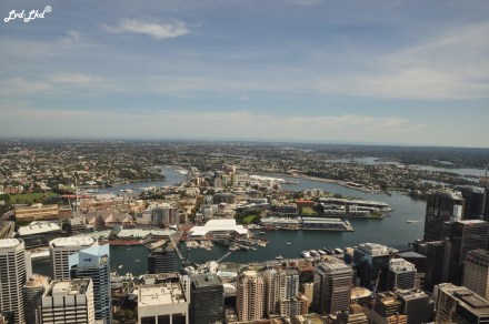 6 sydney tower (3)