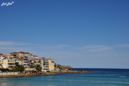 7 bondi beach (1)