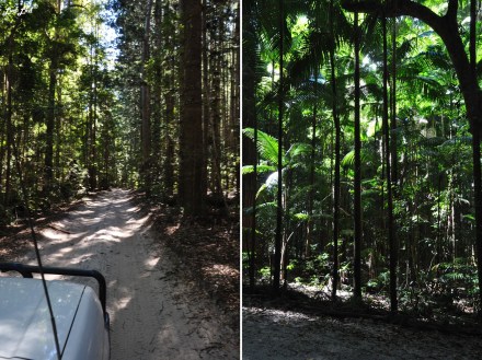 3 Birabeen lake et route (2)