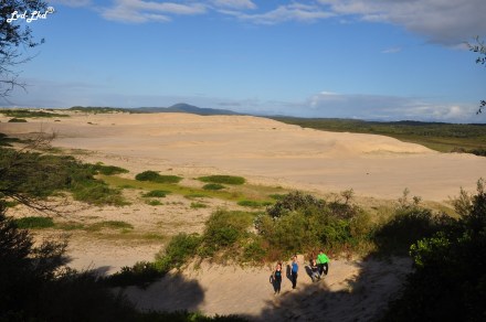 3 hat head dune (2)