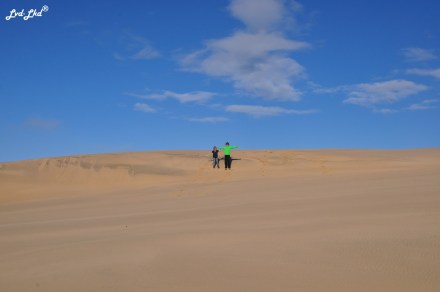 3 hat head dune (3)