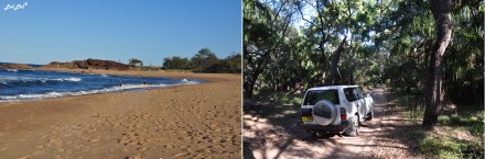 3 lezard monitor et deepwater (4)