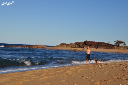 3 lezard monitor et deepwater (5)