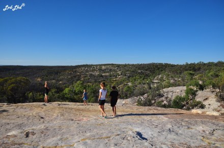 3 white mountain (1)