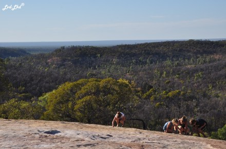 3 white mountain (2)