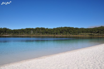 4 McKenzie Lake et Rute (5)