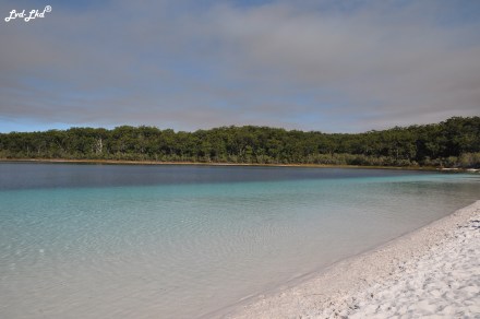 4 McKenzie Lake et Rute (9)