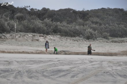 5 plage Fraser (2)