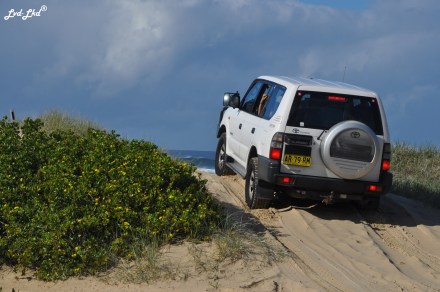 5 plage Hat Head (2)