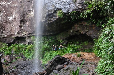 5 springbrook falls (6)