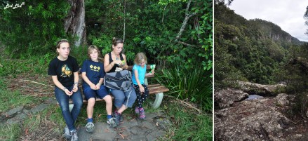 5 springbrook falls (8)